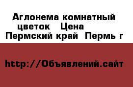 Аглонема комнатный цветок › Цена ­ 150 - Пермский край, Пермь г.  »    